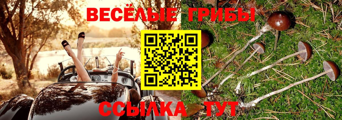 Новотроицк  Псилоцибиновые грибы мухоморы  Вход с VPN 